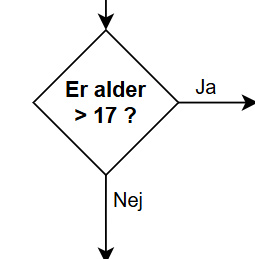 Figur S4 – Beslutningsdiamant med to udgange, labellet Ja/Nej